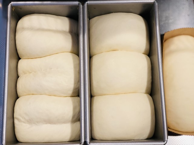 オニオンベーグル：食パン二次発酵完了