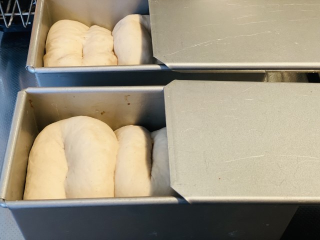 二次発酵；終了；マロン食パン
