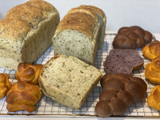 本日のパン：３種類の焼きたてパン